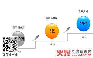 五年蝶變 鴻興源調(diào)味品從2000萬(wàn)到6億的營(yíng)銷(xiāo)策劃之路