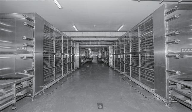 大連弘潤 以“品質力量”加冕，無麩質有機面如何重塑行業標桿與市場格局